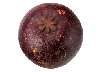 Similar image 11489407