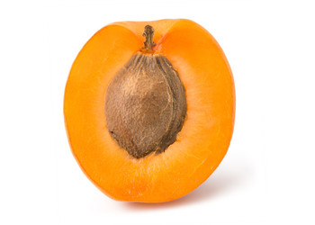 Similar image 11489250