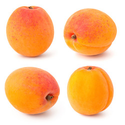 Similar image 11489265