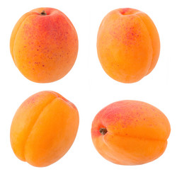 Similar image 11489274