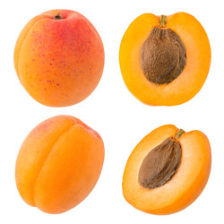 Similar image 11489373