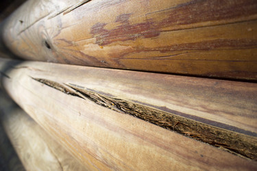 Similar image 11488593