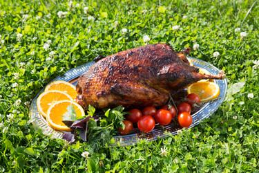 Similar image 11492113