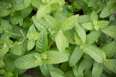 Similar image 11492118