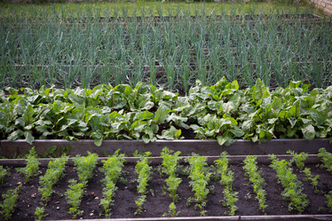 Similar image 11491953