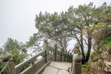 Similar image 11488631