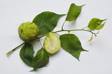 Similar image 11488595