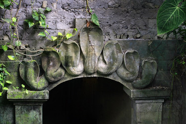 Similar image 11491166