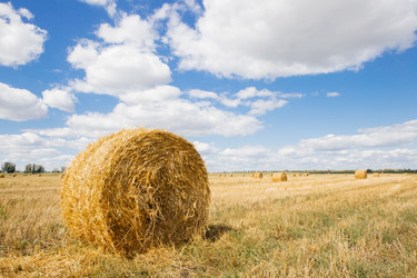 Similar image 11492006