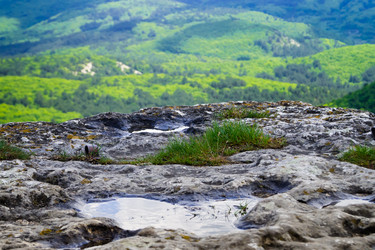 Similar image 11495620