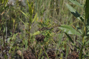 Similar image 11489171