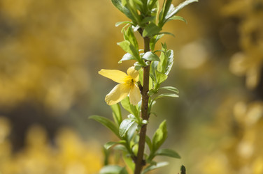 Similar image 11494199