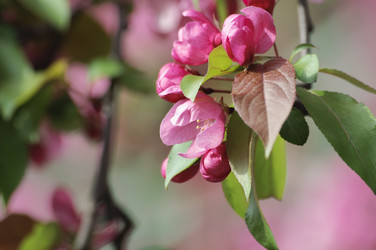 Similar image 11501810