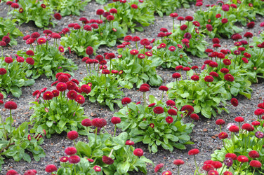 Similar image 11503194