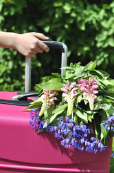 Similar image 11489175