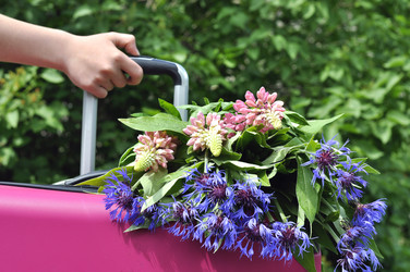 Similar image 11489177