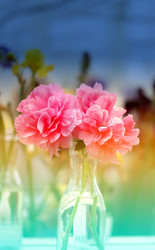 Similar image 11496848