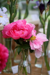 Similar image 11496829