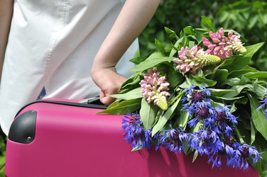 Similar image 11489179