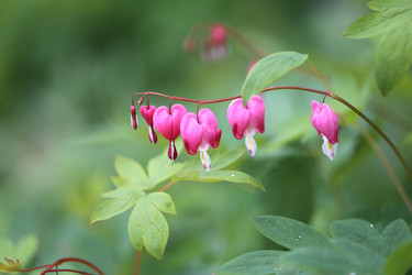 Similar image 11496850