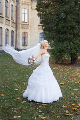 Similar image 11489296