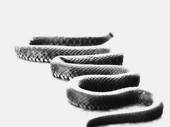 Similar image 11488956