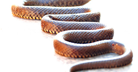 Similar image 11488957