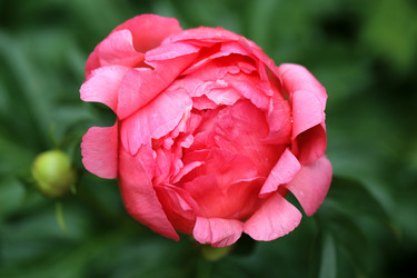 Similar image 11496852