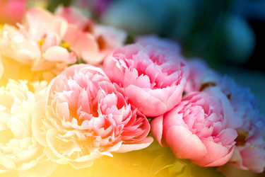 Similar image 11496808