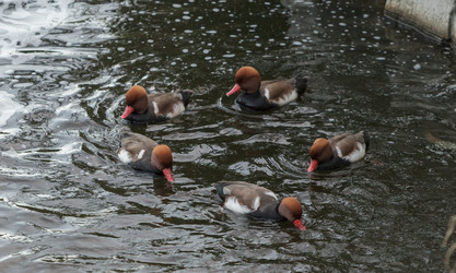 Similar image 11491377