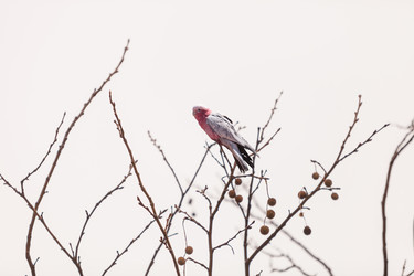 Similar image 11491554