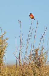 Similar image 11491277