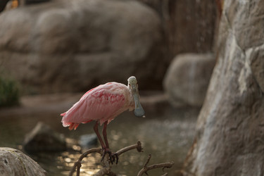 Similar image 11491284