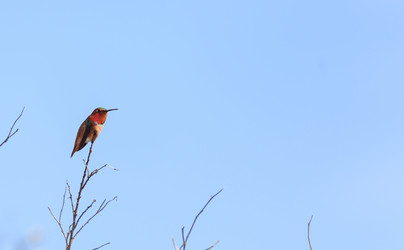 Similar image 11491286