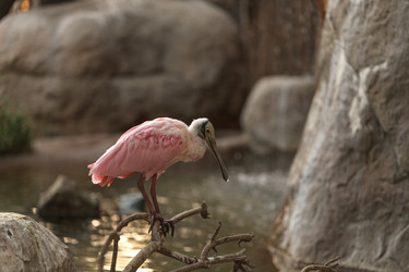 Similar image 11491556