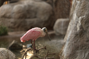 Similar image 11491557