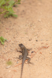 Similar image 11491345