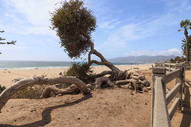 Similar image 11491355