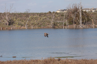 Similar image 11491359