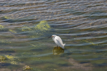 Similar image 11491386