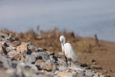 Similar image 11491389