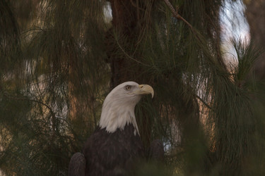 Similar image 11491391