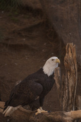 Similar image 11491586