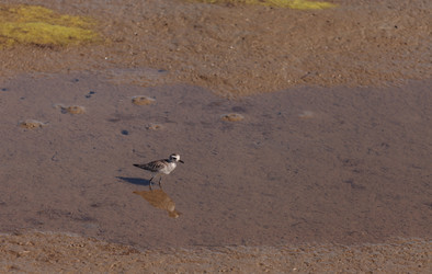 Similar image 11491587