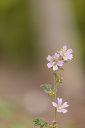 Similar image 11491308