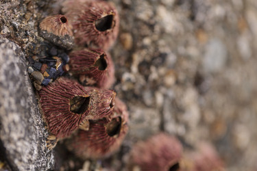 Similar image 11491317