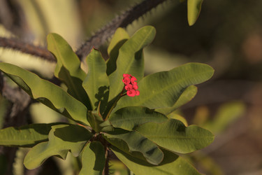 Similar image 11491322