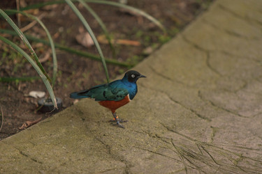 Similar image 11491325