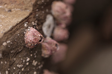 Similar image 11491326