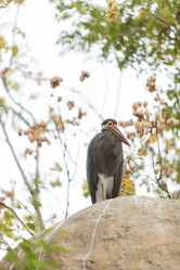 Similar image 11491327